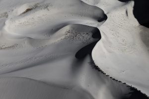 Caravane de yaks in the dunes near Skardu, vallée de l'Indus , Gilgit – Baltistan, Pakistan (35°19’ N - 75°43’ E).