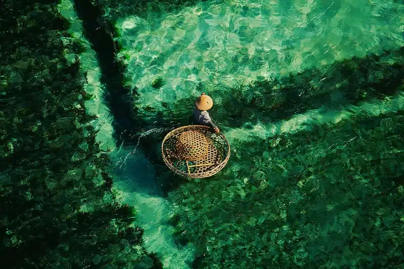 Récolte des algues, Bali, Indonésie (8°17’ S - 115°06’ E) © Yann Arthus-Bertrand