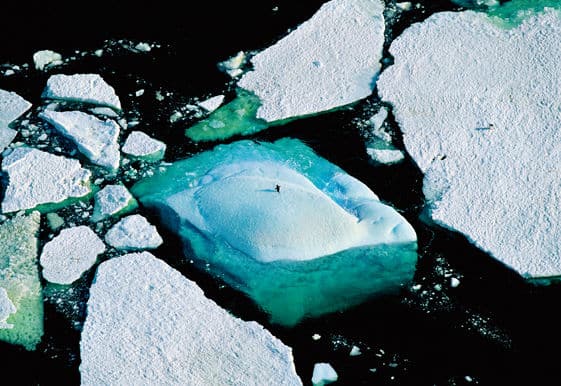 Icebergs et manchots Adélie, Terre Adélie, Antarctique (pôle Sud) (66°00' S – 141°00' E). © Yann Arthus-Bertrand
