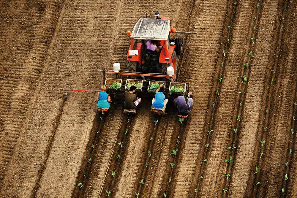 Agriculture semences paysannes photo copyright Yann Arthus-Bertrand