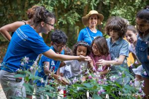 GoodPlanet Junior 2016 (c) Benoît Moyen