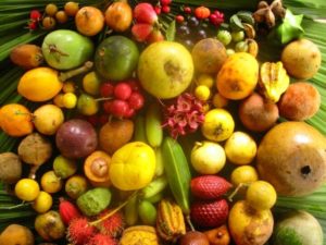 Fruits produits © Ishpingo