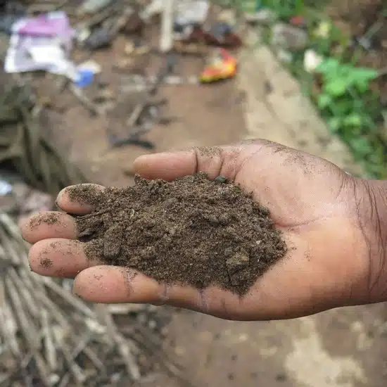 Compost (c)GoodPlanet