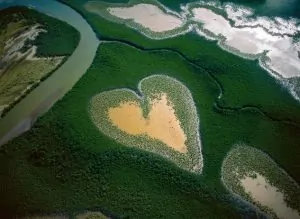 COEUR-DE-VOH -Cœur de Voh en 1990, Nouvelle-Calédonie, France© Yann Arthus-Bertrand