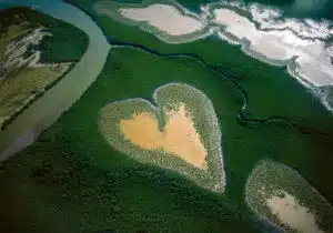 COEUR-DE-VOH -Cœur de Voh en 1990, Nouvelle-Calédonie, France© Yann Arthus-Bertrand