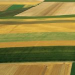 Paysage agricole près de Châlons-en-Champagne Marne, France (c) Yann Arthus Bertrand