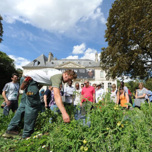 atelier potager