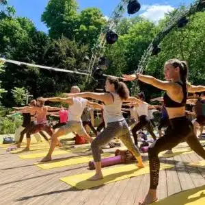 Fête du Yoga