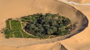 Oasis © Yazid TIZI / Hope production.