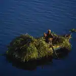 photo © Yann Arthus-Bertrand