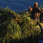 entreprise nous soutenir -photo copyright Yann Arthus-Bertrand