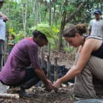 Chantier jardins botaniques © Latitud Sur