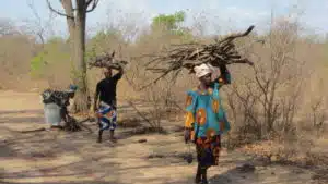 Femmes récoltant du bois de chauffage (c) ETC TERRA