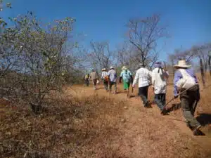 Régénération naturelle assistée © Kinomé