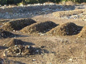 Andains en maturation © Gevalor