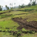 Des parcelles agricoles en Ethiopie.