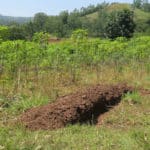 Des parcelles agricoles en Ethiopie.