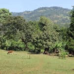 La campagne en Ethiopie