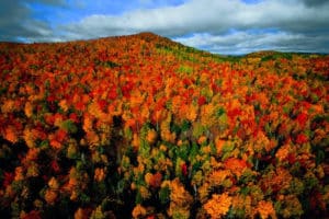 Forêt d’automne dans la région de Charlevoix Québec Canada (c) Yann Arthus Bertrand