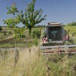 Travail sur parcelle agroforestière (c) Philippe Van Lerberghe