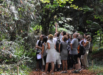 Baladenature_carre_domaine