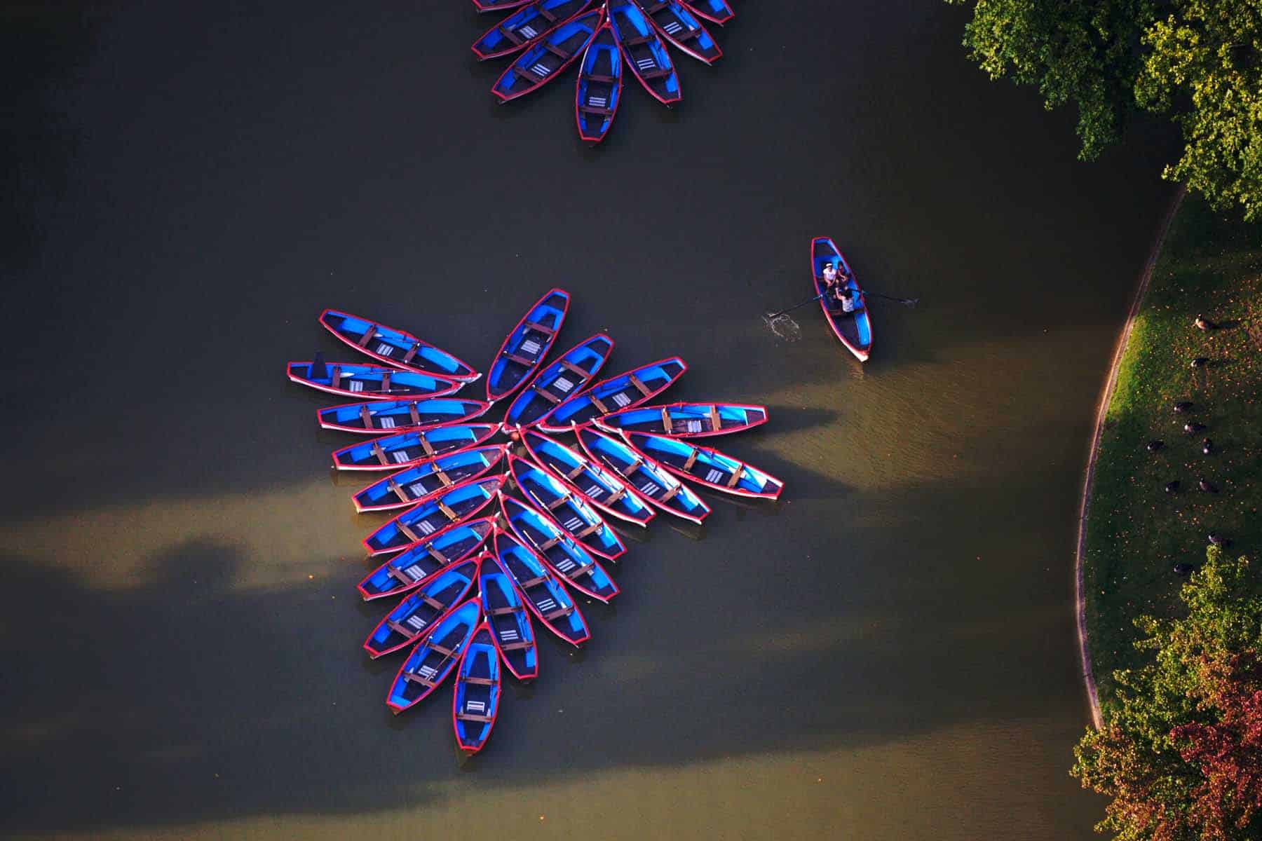 entreprise nous soutenir -Barques sur le Lac Dausmesnil - Bois de Vincennes - photo Yann Arthus-Bertrand