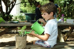 enfant-potager-carre