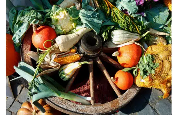 légumes-gaspillage-miam