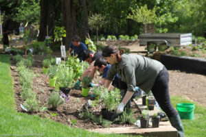 5 bonnes raison de venir ce week-end à la Fondation GoodPlanet