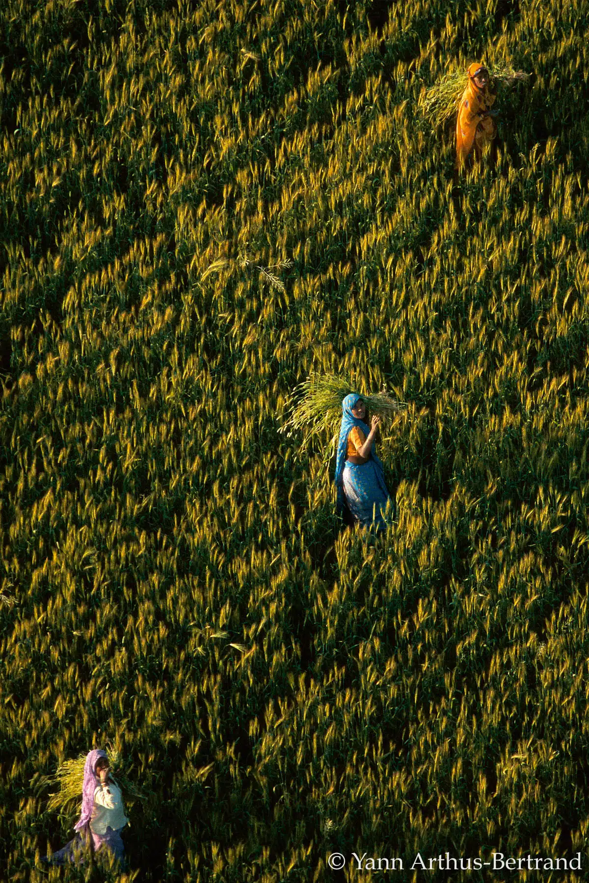 engager son entreprise