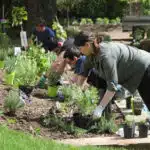 Week end Nature carre sensibilisation