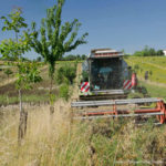 Agroforesterie tracteur