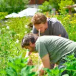 jardiniers agriculture urbaine
