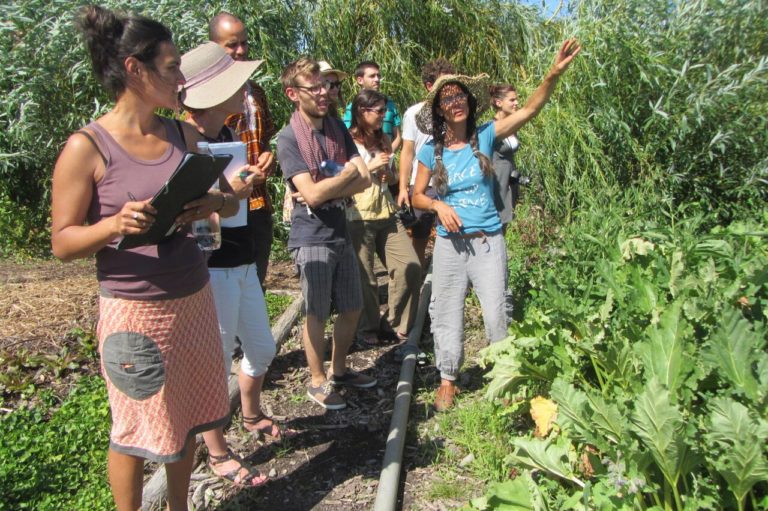 Leçon-au-Potager-Réjane-Morgantini-IMG_4738_ permaculture carre sensi768x511
