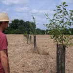 Agroforesterie Aquitaine