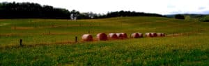 agroforesterie france champs bottes de foin