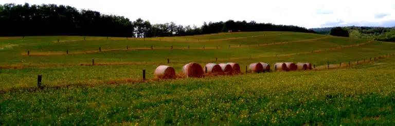 agroforesterie france champs bottes de foin