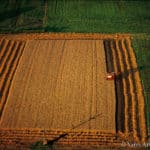 Moisson dans la Beauce copyright Yann Arthus-Bertrand