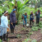 agriculteurs exploitants agroforesterie Equateur forêt