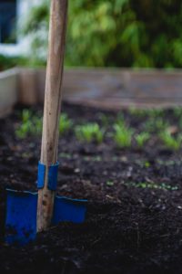 atelier potager enfant