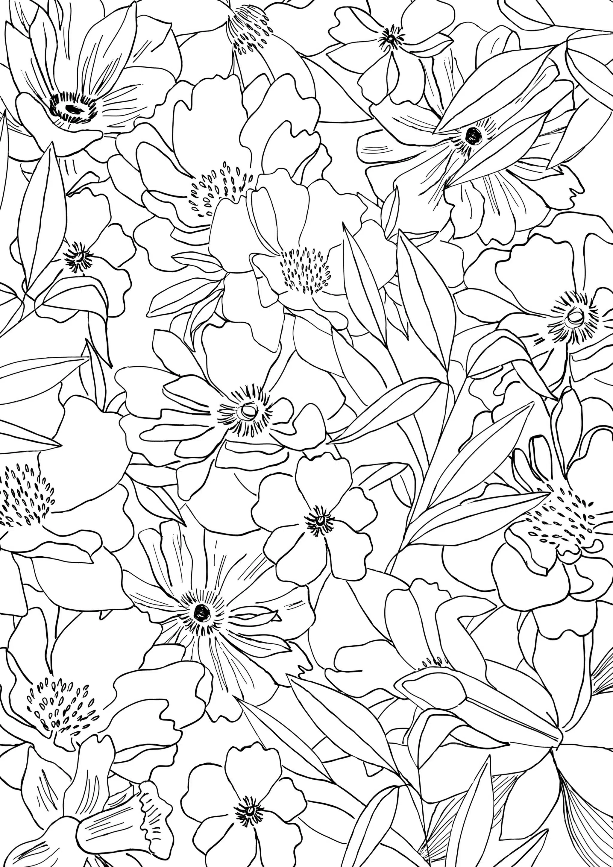 Coloriage nature et fleurs : à vos crayons ! - Fondation GoodPlanet