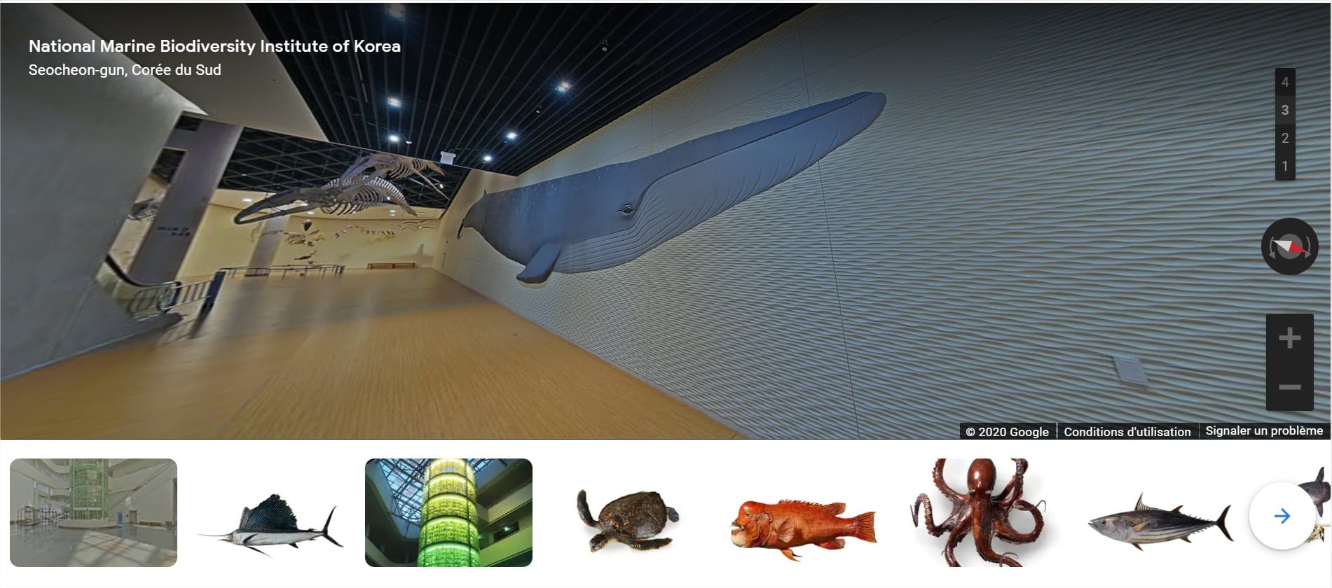 National Marine Biodiversity Institute of Korea, Seocheon-gun, Coree du Sud — Google Arts & Culture