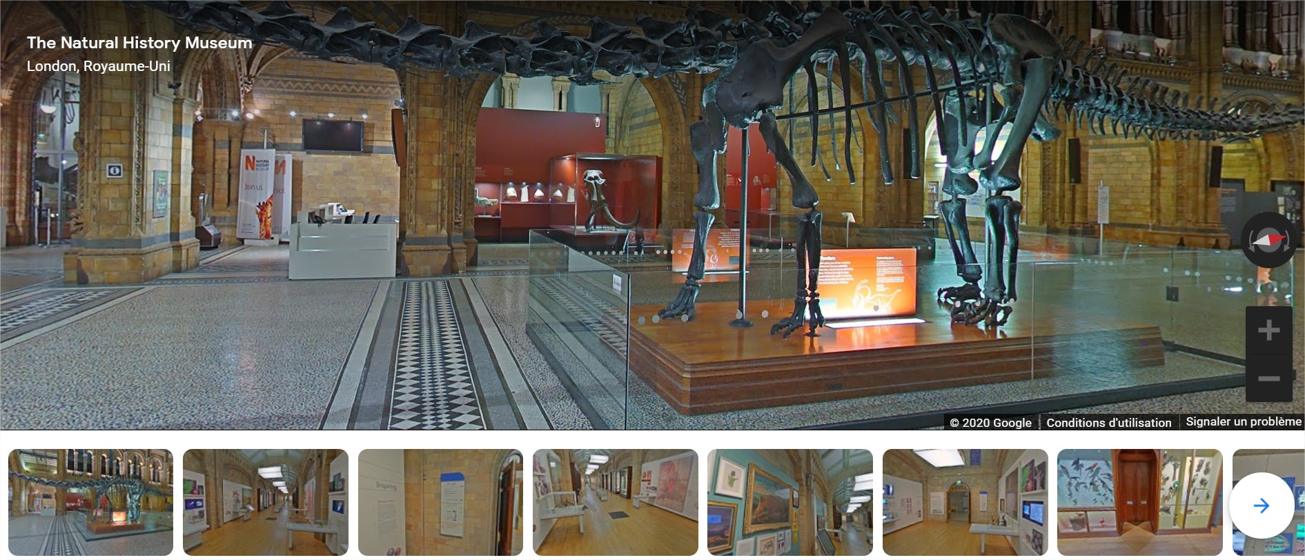 The Natural History Museum London Royaume-Uni — Google Arts & Culture