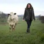 femmes agricultrices vaches