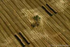 beauce Agricultural landscape in beauce, Eure-et-Loir, France (48°20’ N, 1°22’ E). - copyright Yann Arthus Bertrand