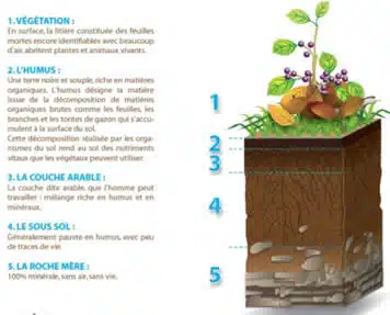 la composition des sols carre