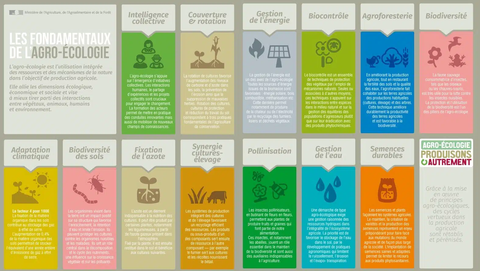 les fonctions du sols carre 700px