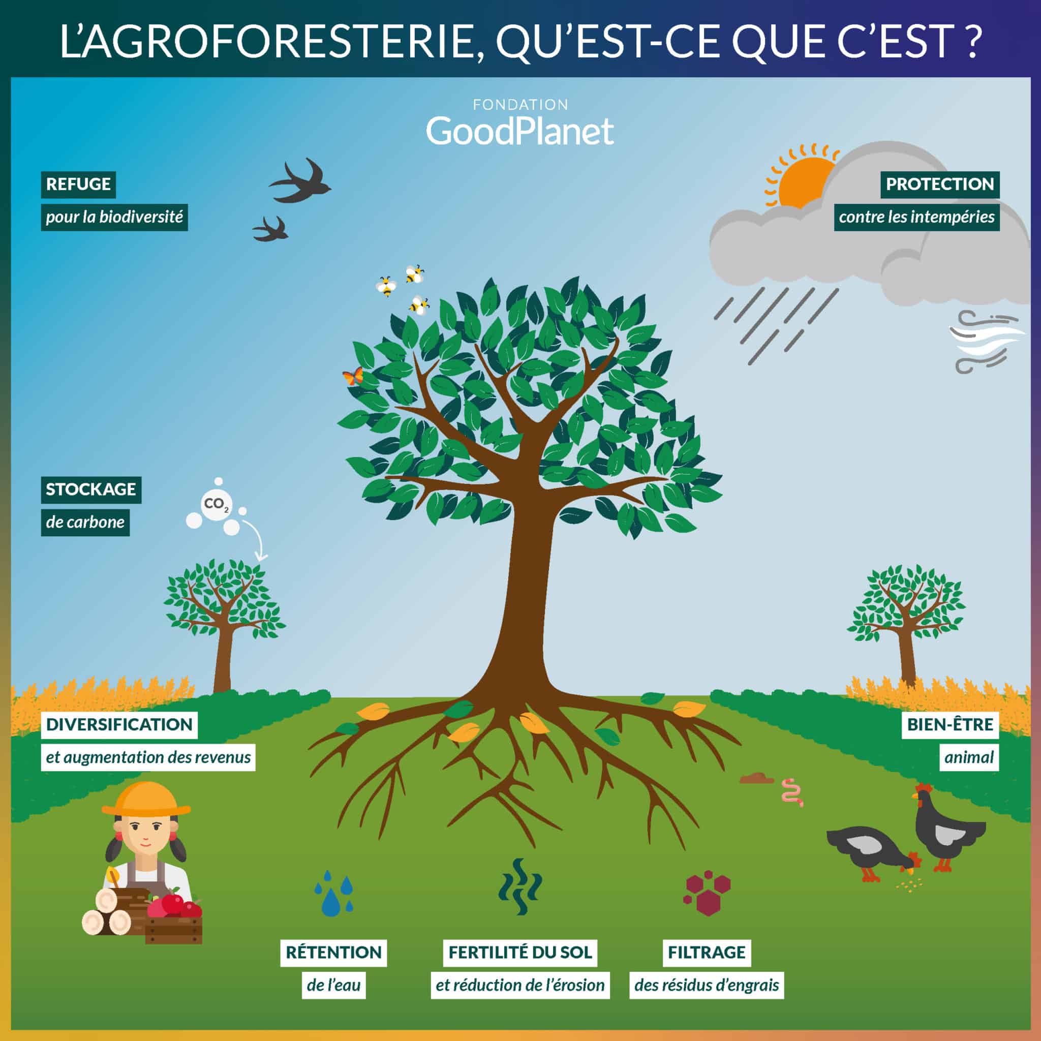 Aide Pac Agroforesterie Financer Une Plantation GMCRXG