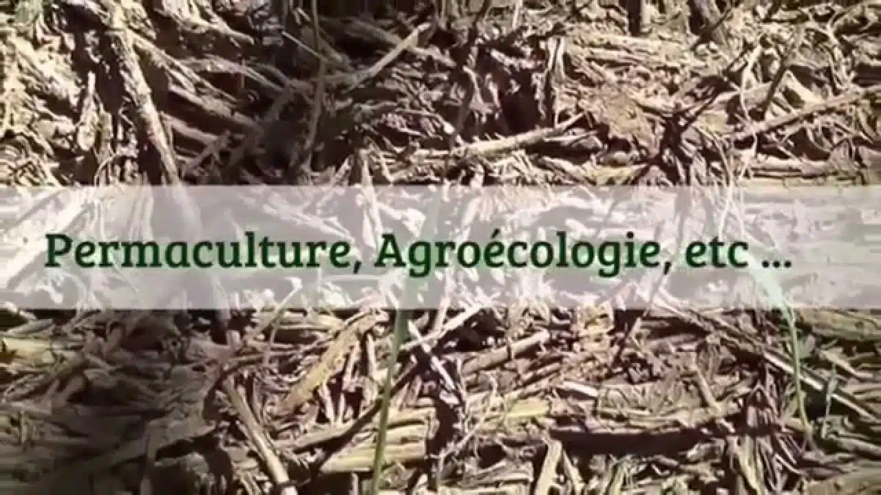PopPlanet Permaculture Agroecologie ect