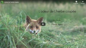 L'odeur de l'herbe coupée le film